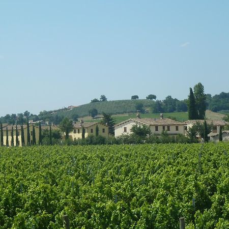 Agriturismo Villaggio Green Montefalco Luaran gambar