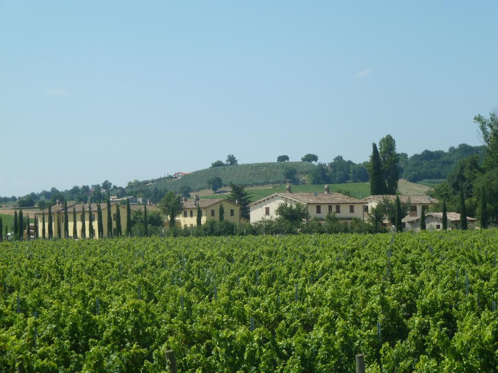 Agriturismo Villaggio Green Montefalco Luaran gambar